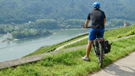 Am Rhein 1 | © bikemap Am Rhein 1 | © bikemap