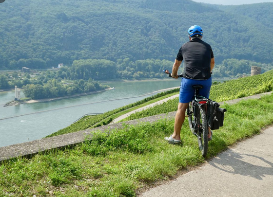 Am Rhein 1 | © bikemap