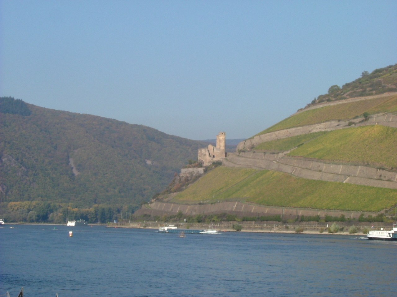 Rad am Rhein | &copy; Gerhard Blum