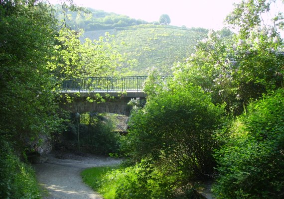 M2 | &copy; Gerhard Blum