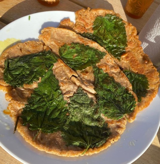 Brennessel | © Angelika Hölz