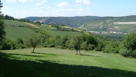 Panorama | &copy; Gerhard Blum