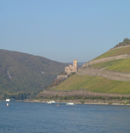 Rad am Rhein | &copy; Gerhard Blum