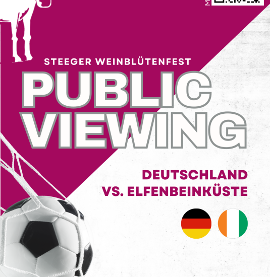 Plakat PV-WBF | &copy; OG Ba-Steeg