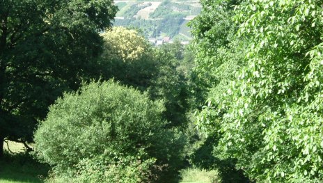 Wandern A | © Gerhard Blum Wandern A | © Gerhard Blum