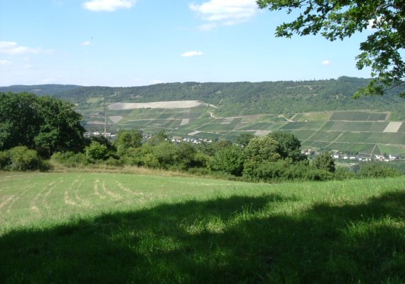 Wandern B | &copy; Gerhard Blum