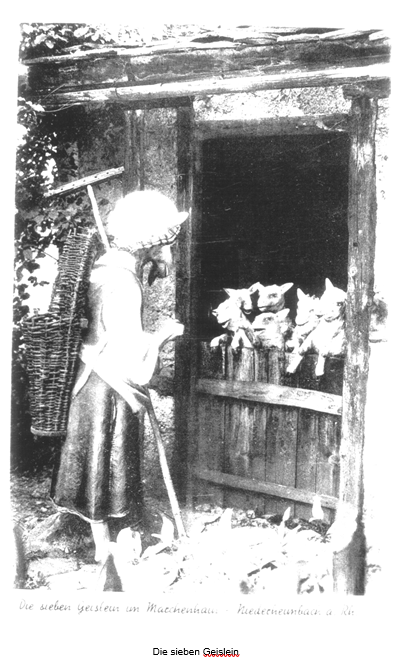 Märchenhain 8 | © Heinz Scheibe