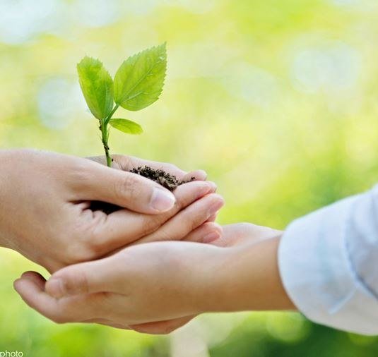 Leben und Wohnen Leben und Wohnen