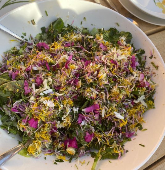 Wurzel | © Angelika Hölz