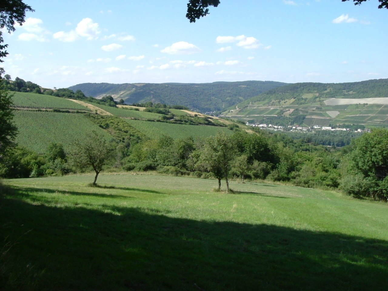 Panorama | &copy; Gerhard Blum