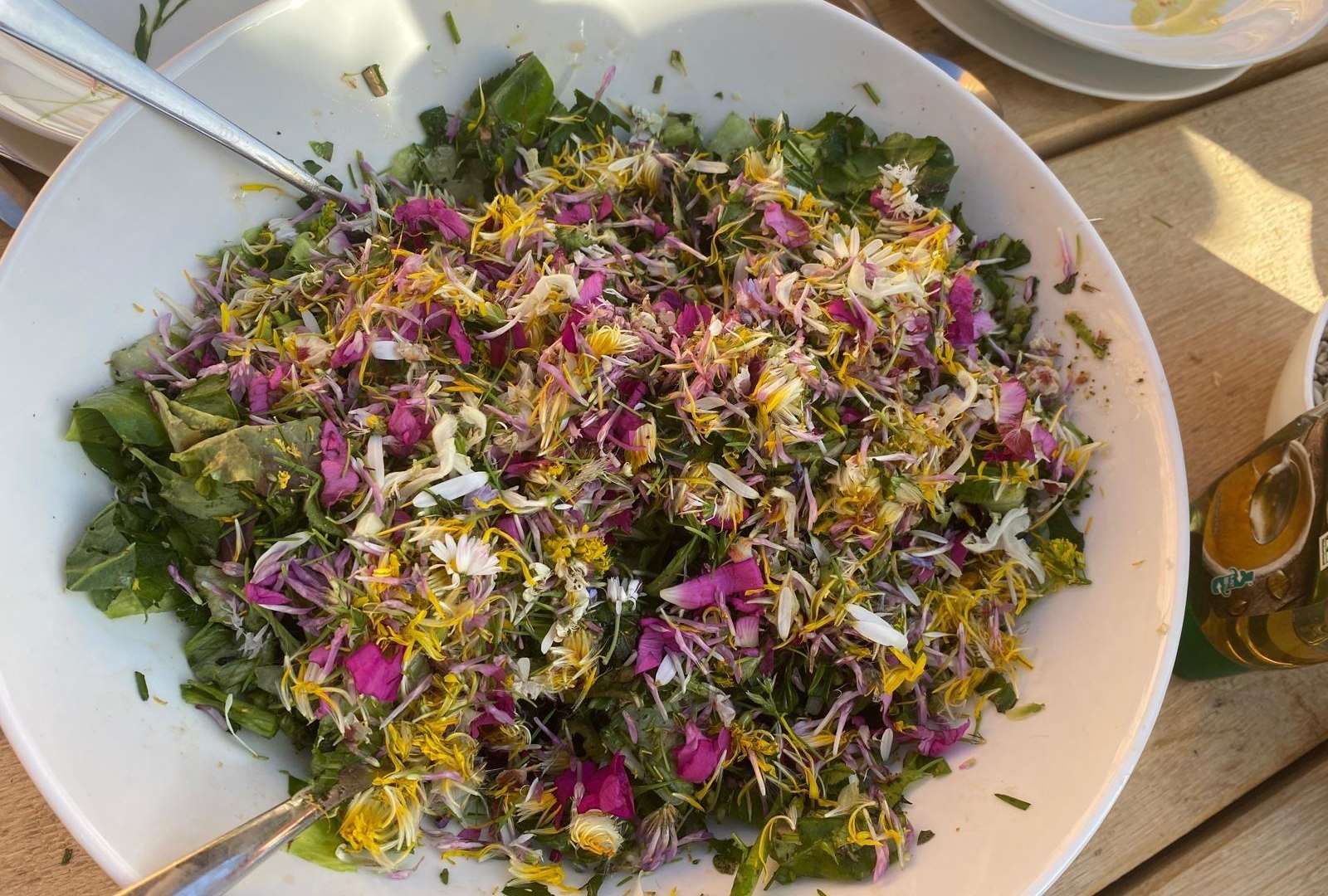 Wurzel | © Angelika Hölz