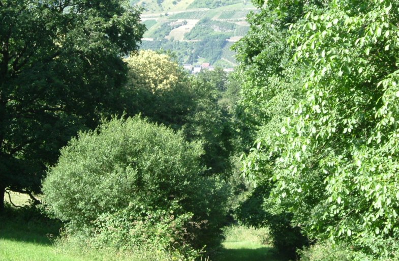 Wandern A | &copy; Gerhard Blum